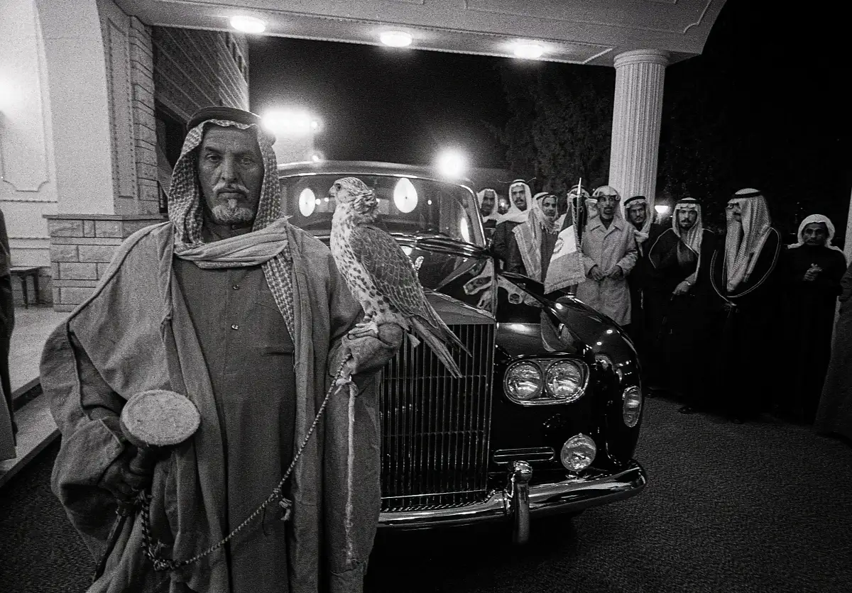 Le faucons et la Rolls