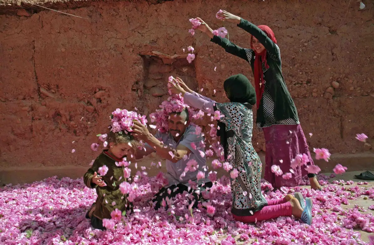 Fête des roses de Damas